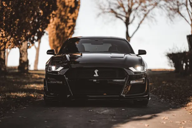 Kasino Golden Palace Android/iOS aplikace